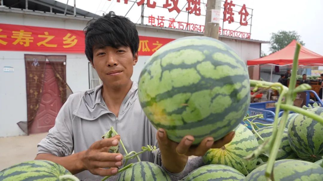 河南90后验瓜师每天拍瓜上万次，日入1600元