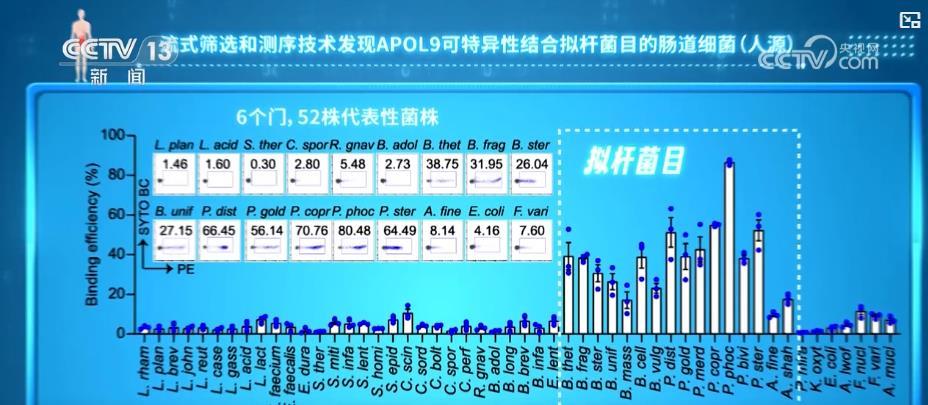 中国科学家破解肠道免疫调控密码 为疾病治疗开辟新路