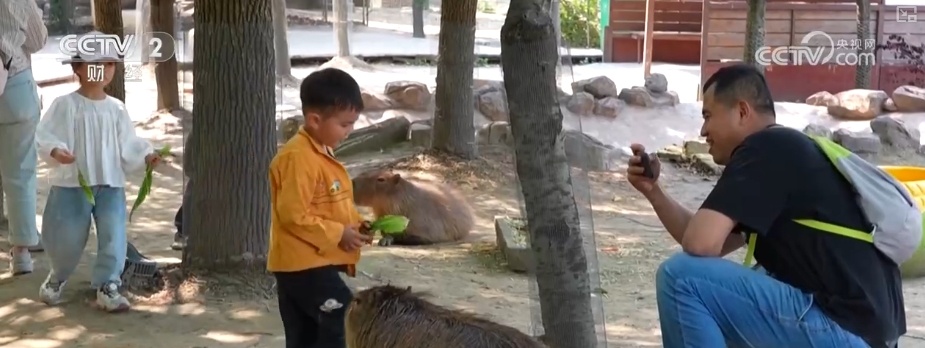 “动物园+”延长产业链撬动消费新活力 花式揽客、限定美景“破圈”圈粉