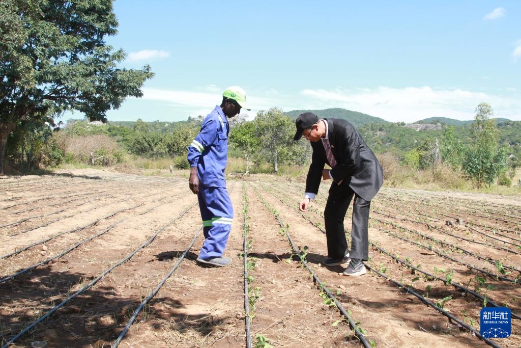 中国—津巴布韦农业合作示范村在津中马绍纳兰省揭牌