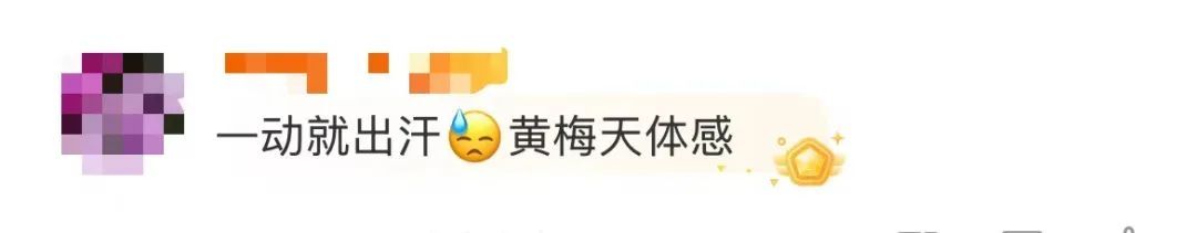 “齁湿”体感上线，上海提前入梅了吗？今夜到明天局部中到大雨，周六最高气温可达33℃