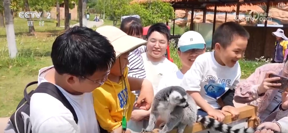 “动物园+”延长产业链撬动消费新活力 花式揽客、限定美景“破圈”圈粉