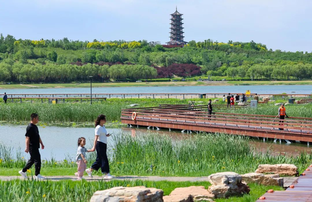 哇!滹沱河美的不像话,像画! 哇!滹沱河美的不像话,像画!