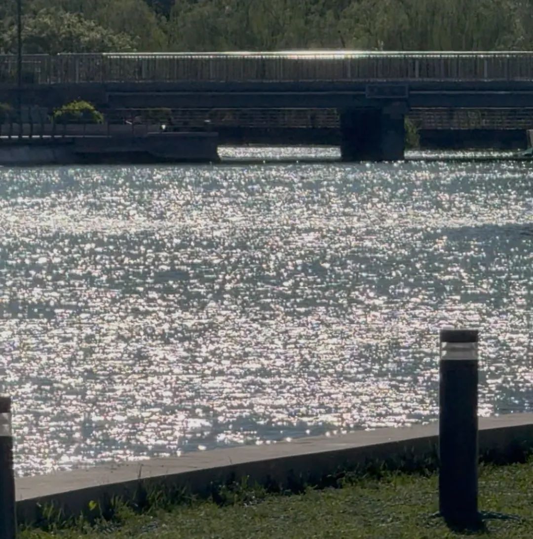 用网,用麻袋…北京亮马河增殖放流,成了这些人“狂欢”? 用网,用麻袋…北京亮马河增殖放流,成了这些人“狂欢”?