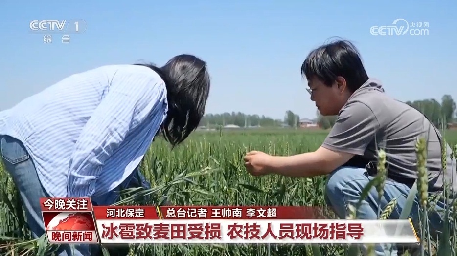 驾车行驶过程中突遇冰雹如何避险？车损保险能赔吗？