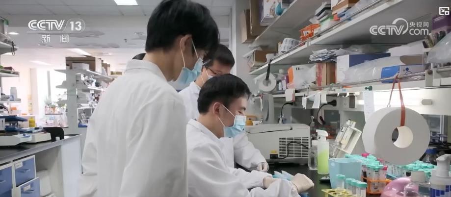 中国科学家破解肠道免疫调控密码 为疾病治疗开辟新路