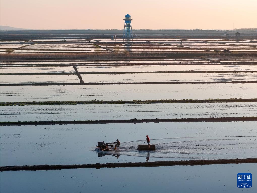 黑龙江富锦：“镜”中插秧