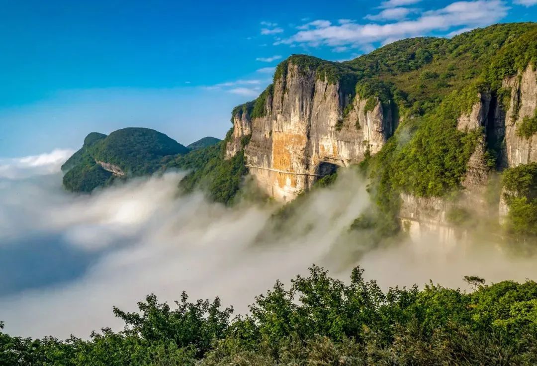 免门票!半价!重庆各大景区等你来耍 免门票!半价!重庆各大景区等你来耍