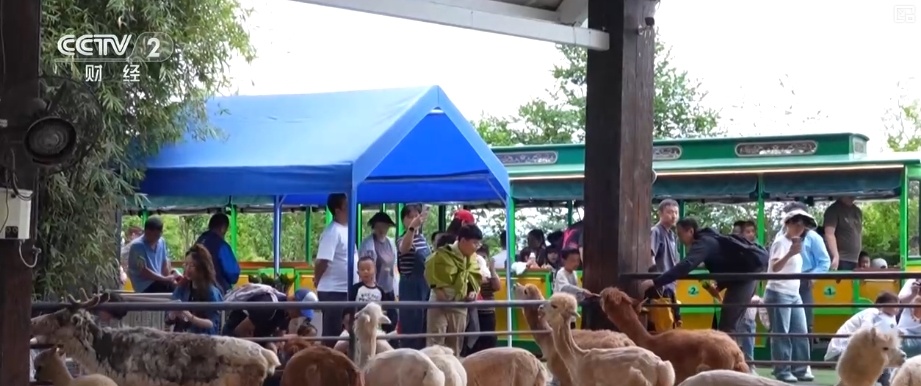 “动物园+”延长产业链撬动消费新活力 花式揽客、限定美景“破圈”圈粉