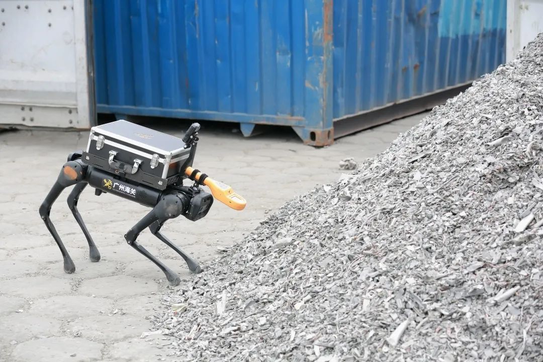 能“闻”出辐射的机器狗“入职”广州海关,全国海关首个 能“闻”出辐射的机器狗“入职”广州海关,全国海关首个