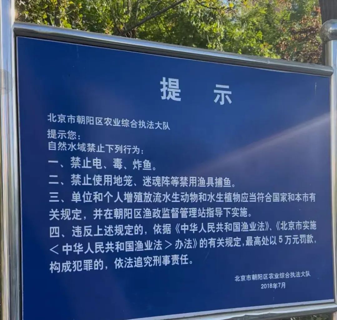 用网,用麻袋…北京亮马河增殖放流,成了这些人“狂欢”? 用网,用麻袋…北京亮马河增殖放流,成了这些人“狂欢”?