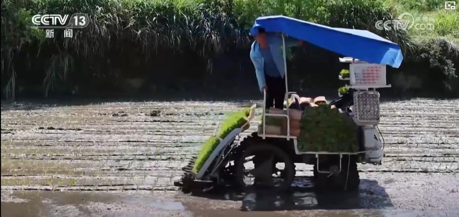 “智慧种地”提质增效助力夏粮丰产丰收 科技赋能绘就现代农业新图景