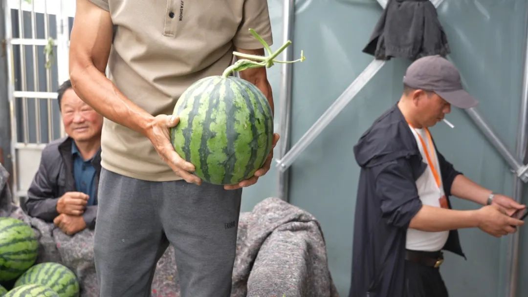 河南90后验瓜师每天拍瓜上万次，日入1600元