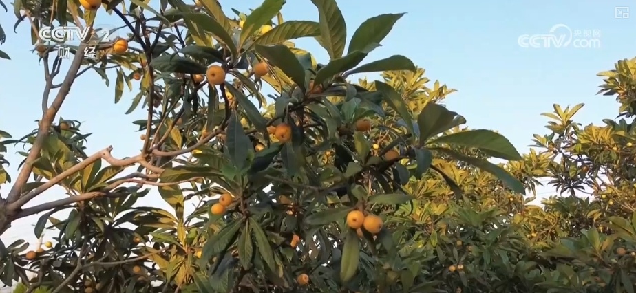 尝“鲜”经济带火旅游消费 激活吃、住、游、购、娱综合消费新动能