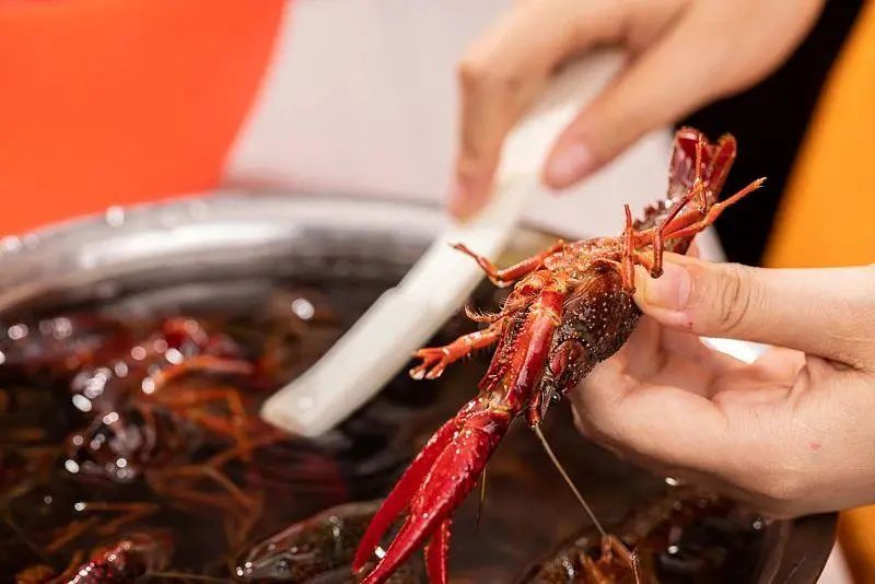 小龙虾价格暴跌近50%!还会再降 小龙虾价格暴跌近50%!还会再降