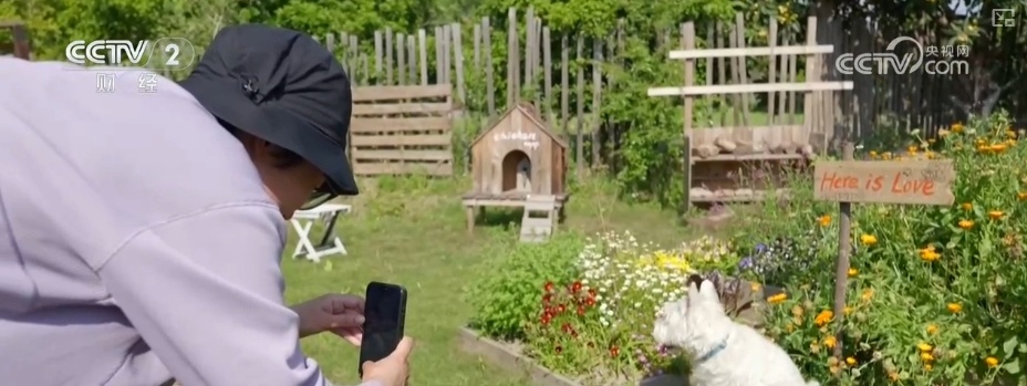 尝“鲜”经济带火旅游消费 激活吃、住、游、购、娱综合消费新动能