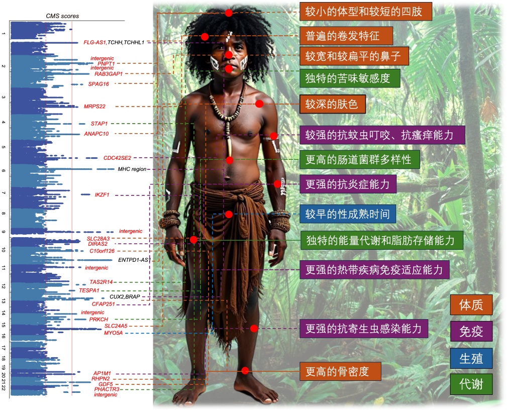 中国科学家牵头，这一人群基因组被破译！