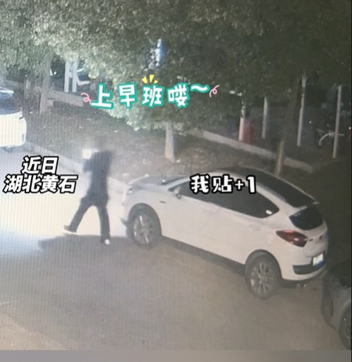 起早贪黑“上班”被抓！