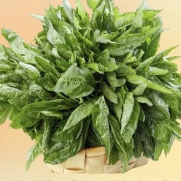 钙含量比牛奶还高！你家餐桌上的“长寿菜”，补钙、护血管、清热祛湿～夏天推荐你多吃