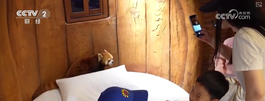 “动物园+”延长产业链撬动消费新活力 花式揽客、限定美景“破圈”圈粉