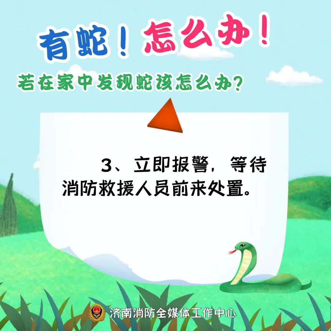 2米大蛇钻进电动车！近期频频出没，上海多个公园也曾出现，种类还不少……