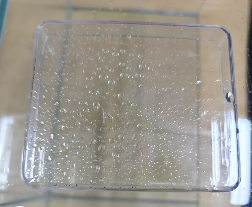 下雨时的窗户竟出现了“量子叠加态”？