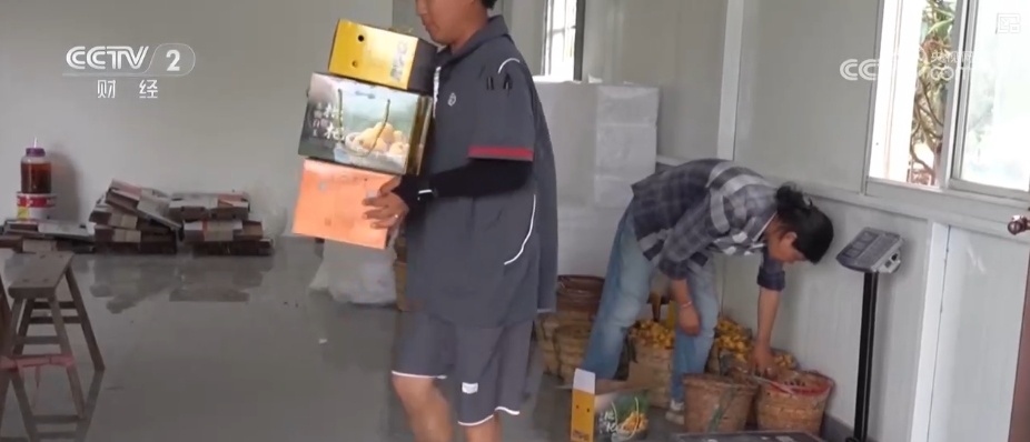 从“枝头鲜”到“全国甜” 特色产业联动文旅消费释放“甜蜜经济”新引擎 从“枝头鲜”到“全国甜” 特色产业联动文旅消费释放“甜蜜经济”新引擎