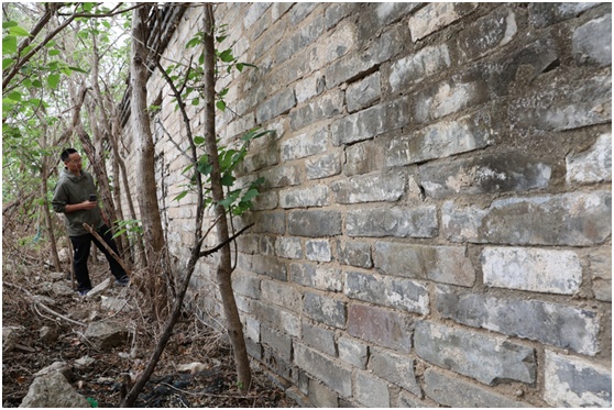 北京一市民散步时一眼认出明清城砖，数量达上万块！文物部门回应