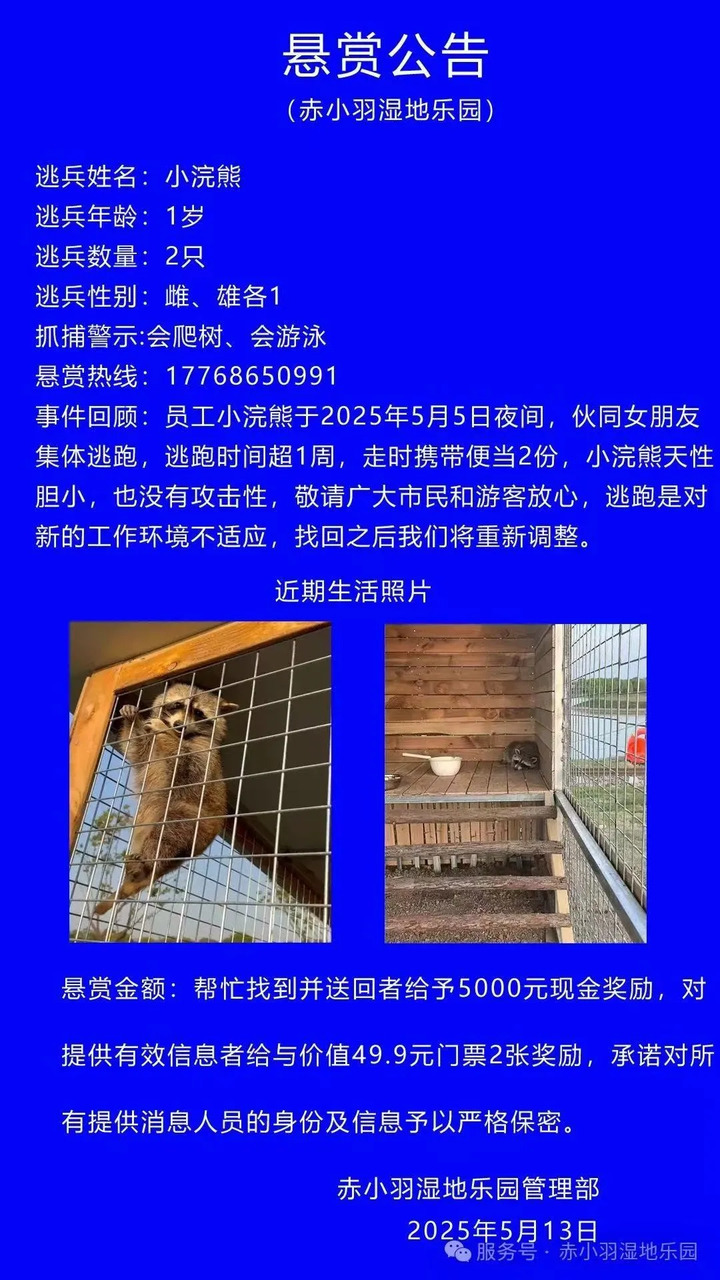 又有动物出逃？镇江一动物园5000元寻失踪小浣熊 扬州茱萸湾加码悬赏奖励！