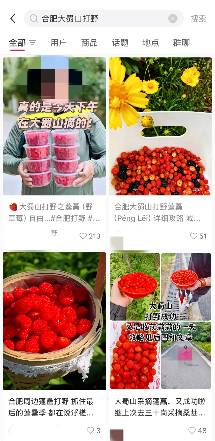 合肥市民热衷到大蜀山“打野”?公园紧急提醒 合肥市民热衷到大蜀山“打野”?公园紧急提醒