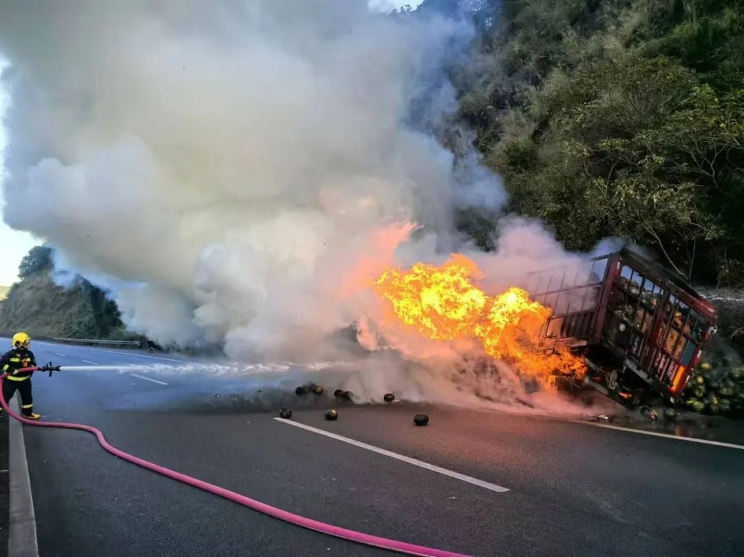 12000只小鸡滞留京沪高速！有些快“热晕”了