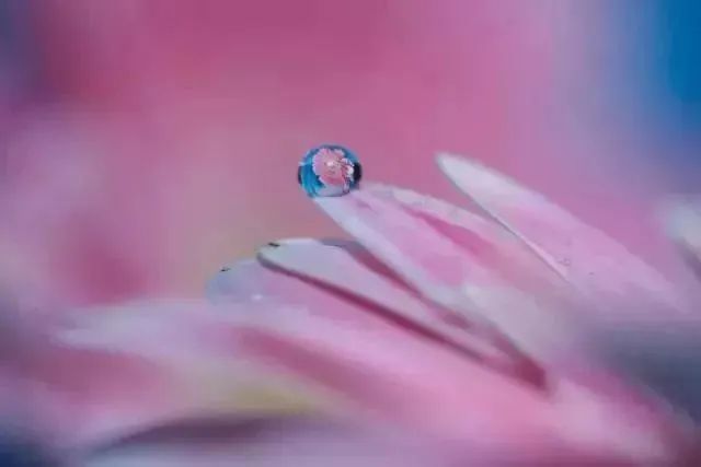 下雨时的窗户竟出现了“量子叠加态”？