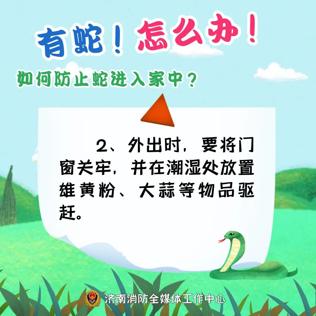 2米大蛇钻进电动车！近期频频出没，上海多个公园也曾出现，种类还不少……