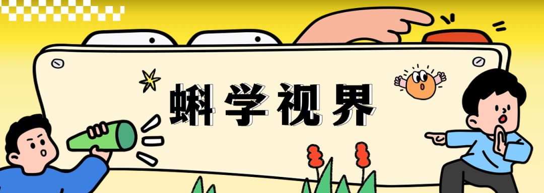 大脑如何编织记忆?科学家发现神经元“分工合作”机制 大脑如何编织记忆?科学家发现神经元“分工合作”机制