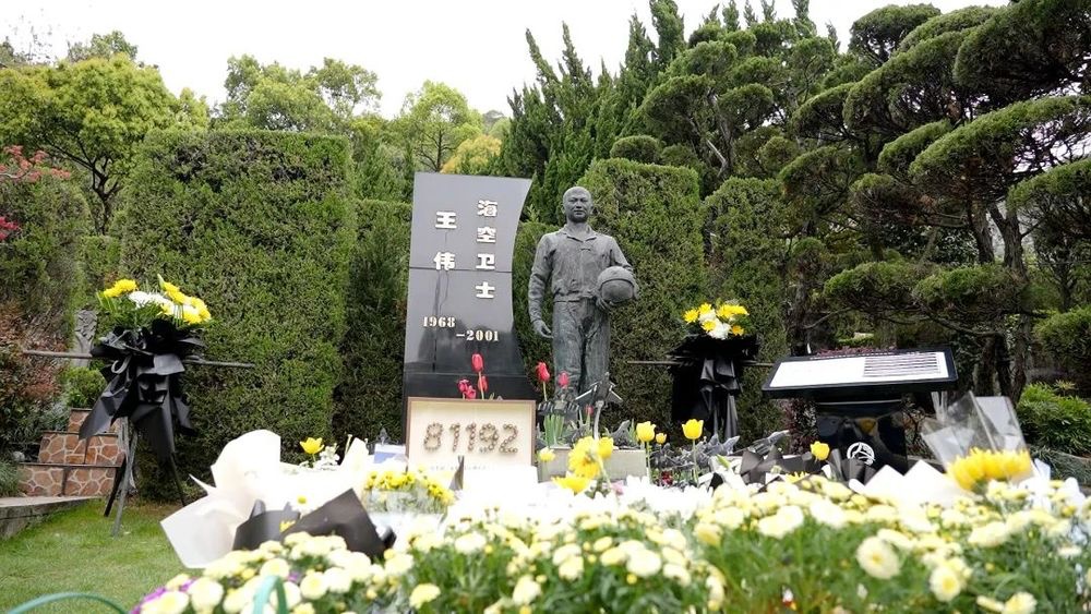 “海空卫士”王伟妻子人民日报深情撰文