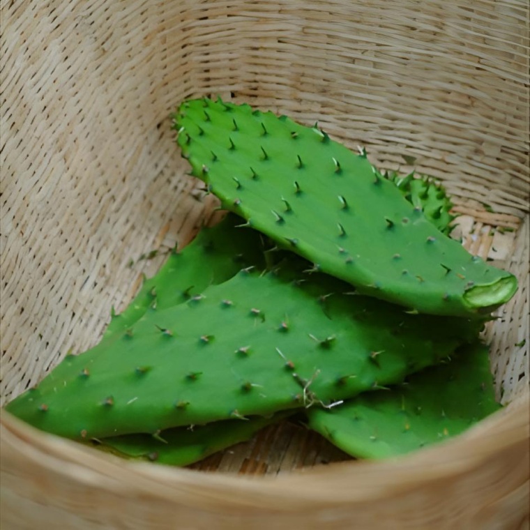 仙人掌还能做雪糕？云南，还是太超前了！