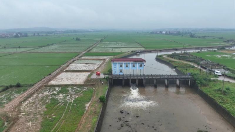 江西新余:开闸放水应对强降雨 保障2万亩早稻安全 江西新余:开闸放水应对强降雨 保障2万亩早稻安全