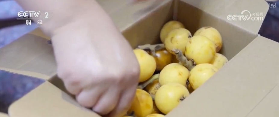 从“枝头鲜”到“全国甜” 特色产业联动文旅消费释放“甜蜜经济”新引擎 从“枝头鲜”到“全国甜” 特色产业联动文旅消费释放“甜蜜经济”新引擎