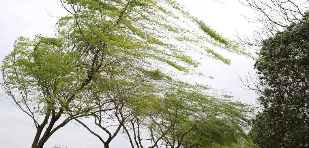 未来三天，山西大风、沙尘、高温、霜冻都有！