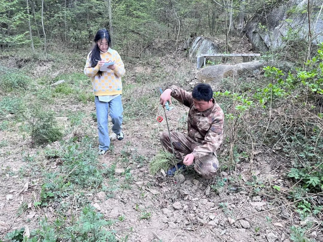 重庆→河南  植物界“大熊猫”来了！