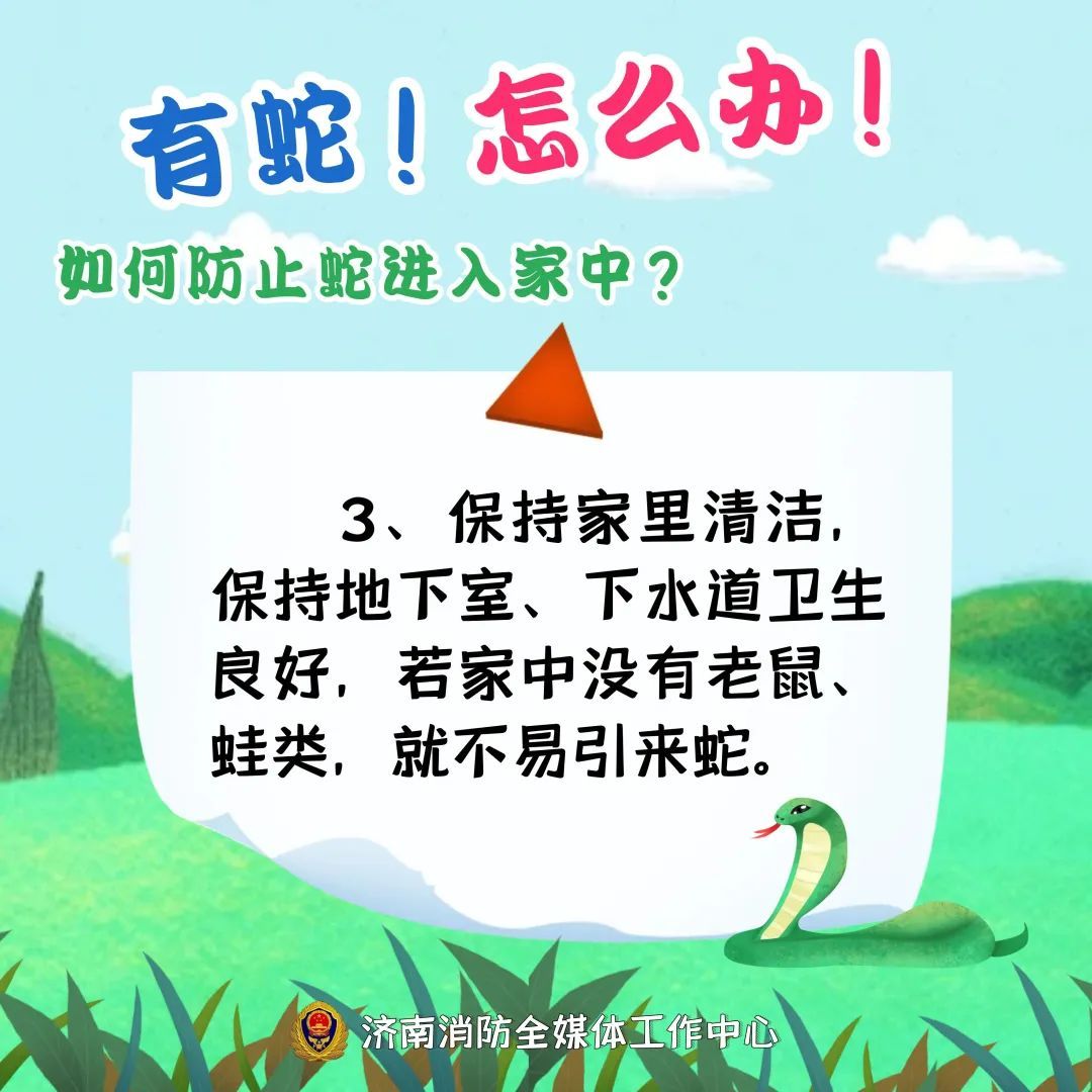 2米大蛇钻进电动车！近期频频出没，上海多个公园也曾出现，种类还不少……