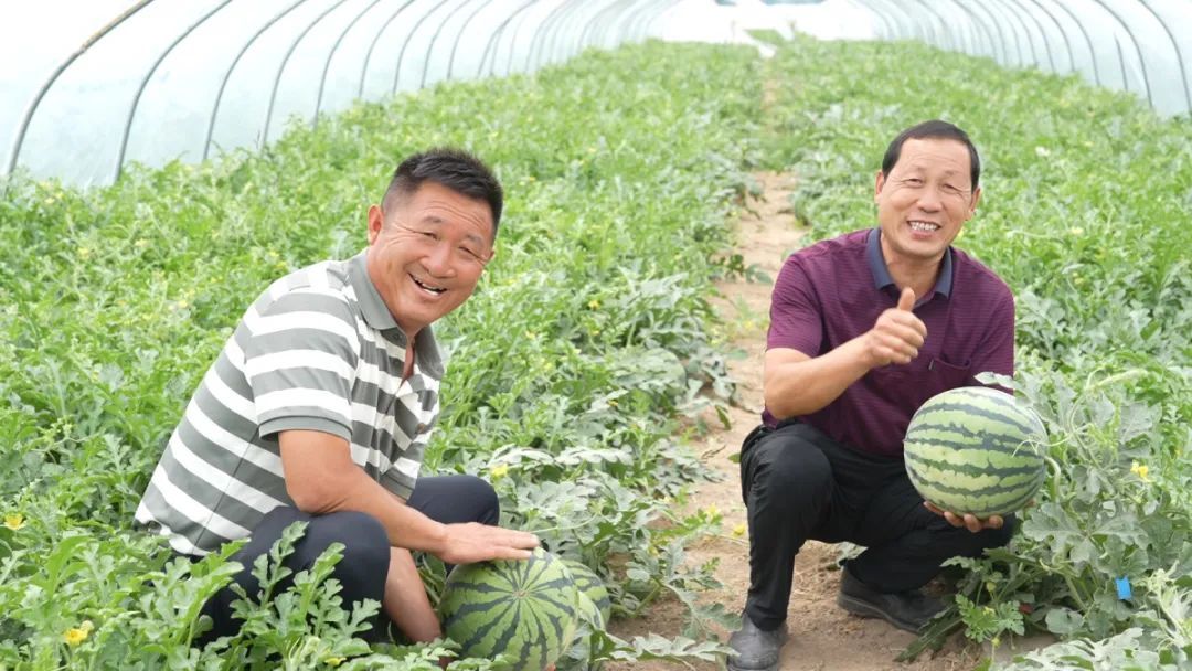 90后小伙儿每天拍瓜上万次,月入三四万,网友:行行出状元! 90后小伙儿每天拍瓜上万次,月入三四万,网友:行行出状元!