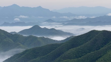 河北滦平：金山岭长城出现云海景观