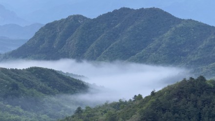 河北滦平：金山岭长城出现云海景观