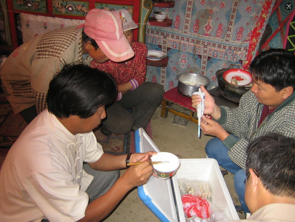 几微米的乳酸菌菌株，何以成为中国“反卡脖子”的底气？