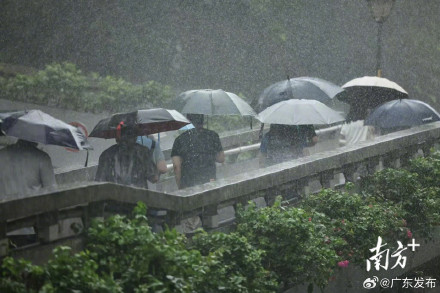 广东多雨模式重启 广东多雨模式重启