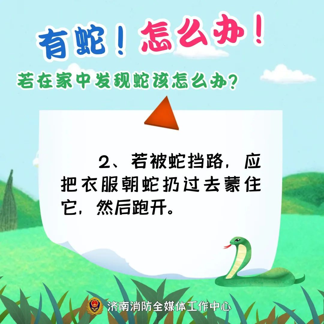 2米大蛇钻进电动车！近期频频出没，上海多个公园也曾出现，种类还不少……