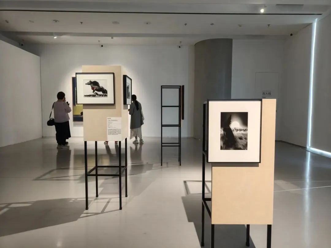 紫檀复刻的北京建筑,几天后可以免费观赏 紫檀复刻的北京建筑,几天后可以免费观赏