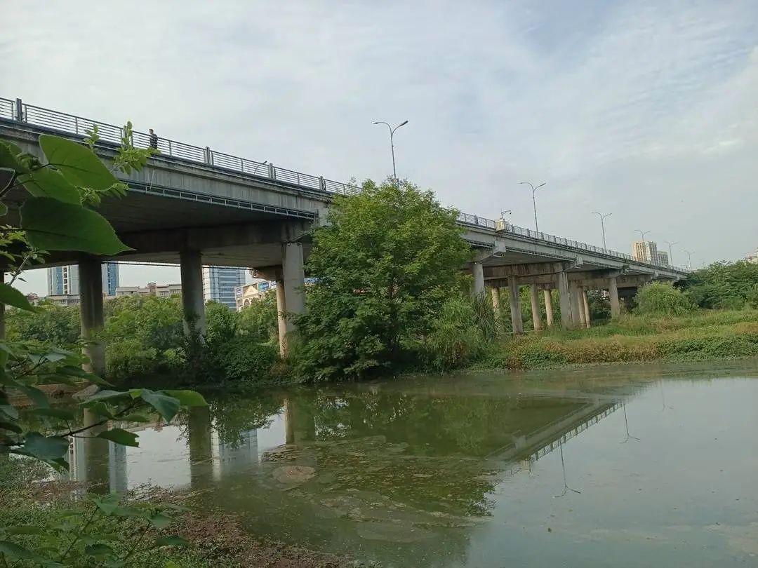 有勇有谋!不会游泳却智救落水者,四川一男子获评“见义勇为” 有勇有谋!不会游泳却智救落水者,四川一男子获评“见义勇为”