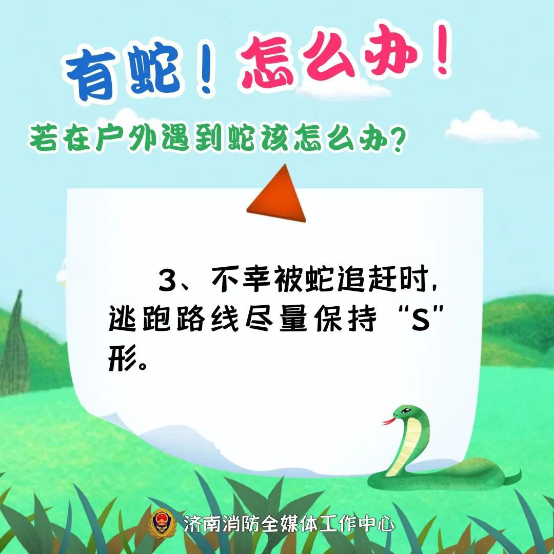 2米大蛇钻进电动车！近期频频出没，上海多个公园也曾出现，种类还不少……